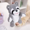 Gray raccoon