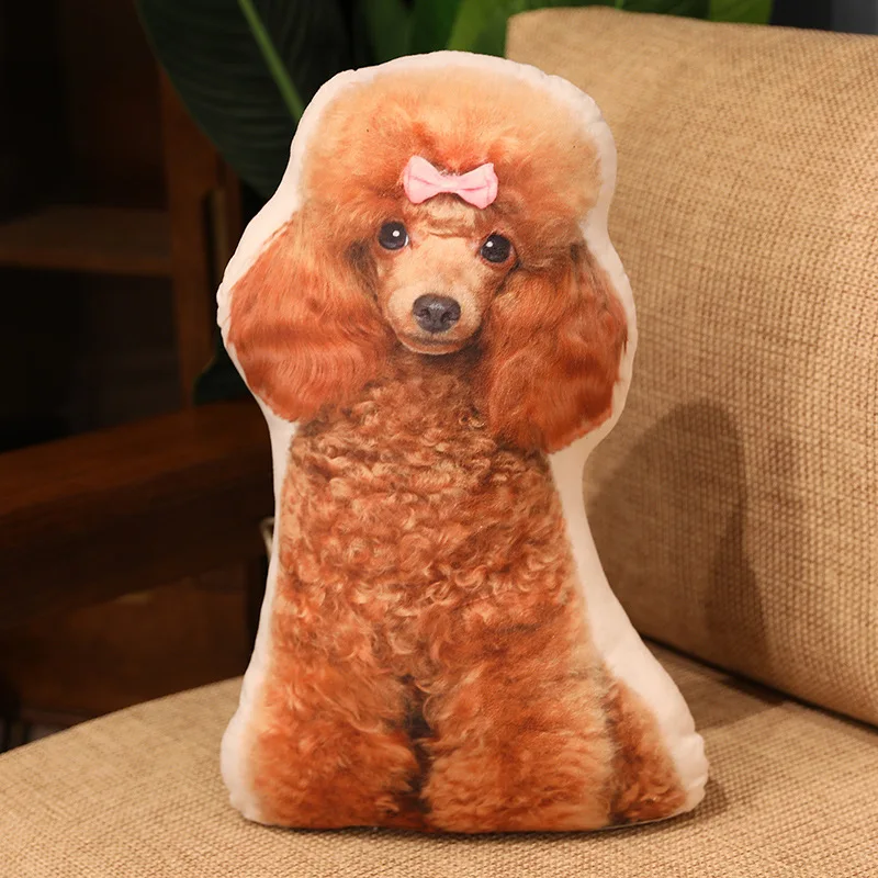 teddy