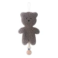 Bear-5