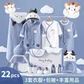 22pcs blue