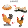 ZQ2417 4pcs