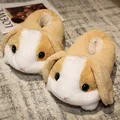 brown rabbit