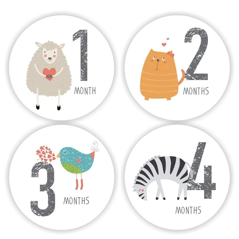 M76C 12 PCS/SET PELÍTES MENSEJES PEGUETAS DEL BABE - imagen 4