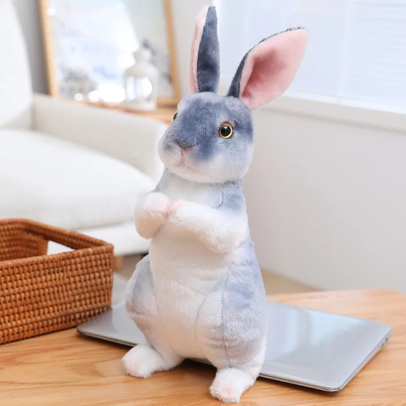 Sitting Gray Rabbit