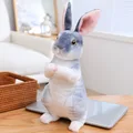 Sitting Gray Rabbit