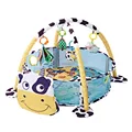 Cow with18balls