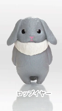 Lop ear rabbit