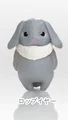 Lop ear rabbit