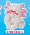 milk white sit