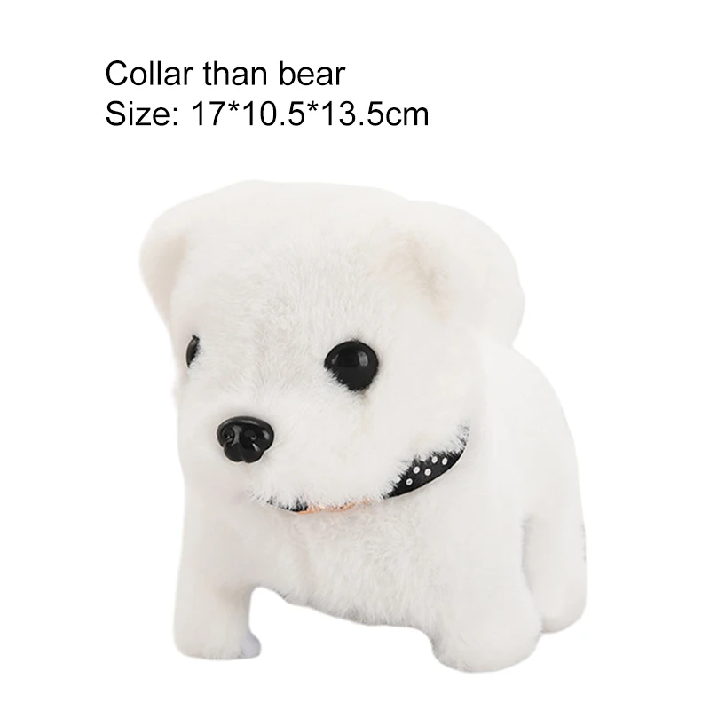 Bichon Frise