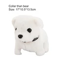 Bichon Frise