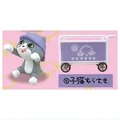 Purple hat kitten