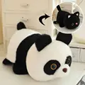 panda turns cat
