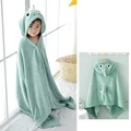 Little dinosaur