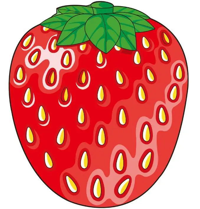 food 12