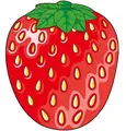 food 12