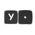 10pcs Y