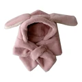 pink rabbit