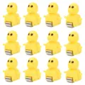12pcs Duck