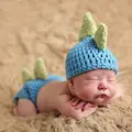 Dinosaur