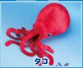 squid