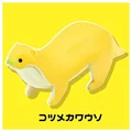 small-clawed otter