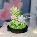 385PCS