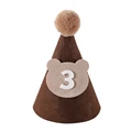 T3