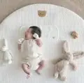 single bear