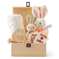 Rabbit