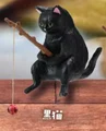 black cat