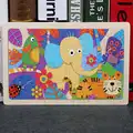 parrot 13
