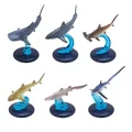 a set of 6