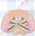 Brauner Mini-Lop