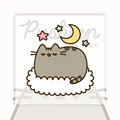 Pusheen10-PJM21