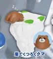 bear sleep on cliff