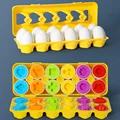 12pcs eggs random