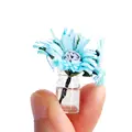 blue-daisy