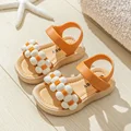 N881Orange