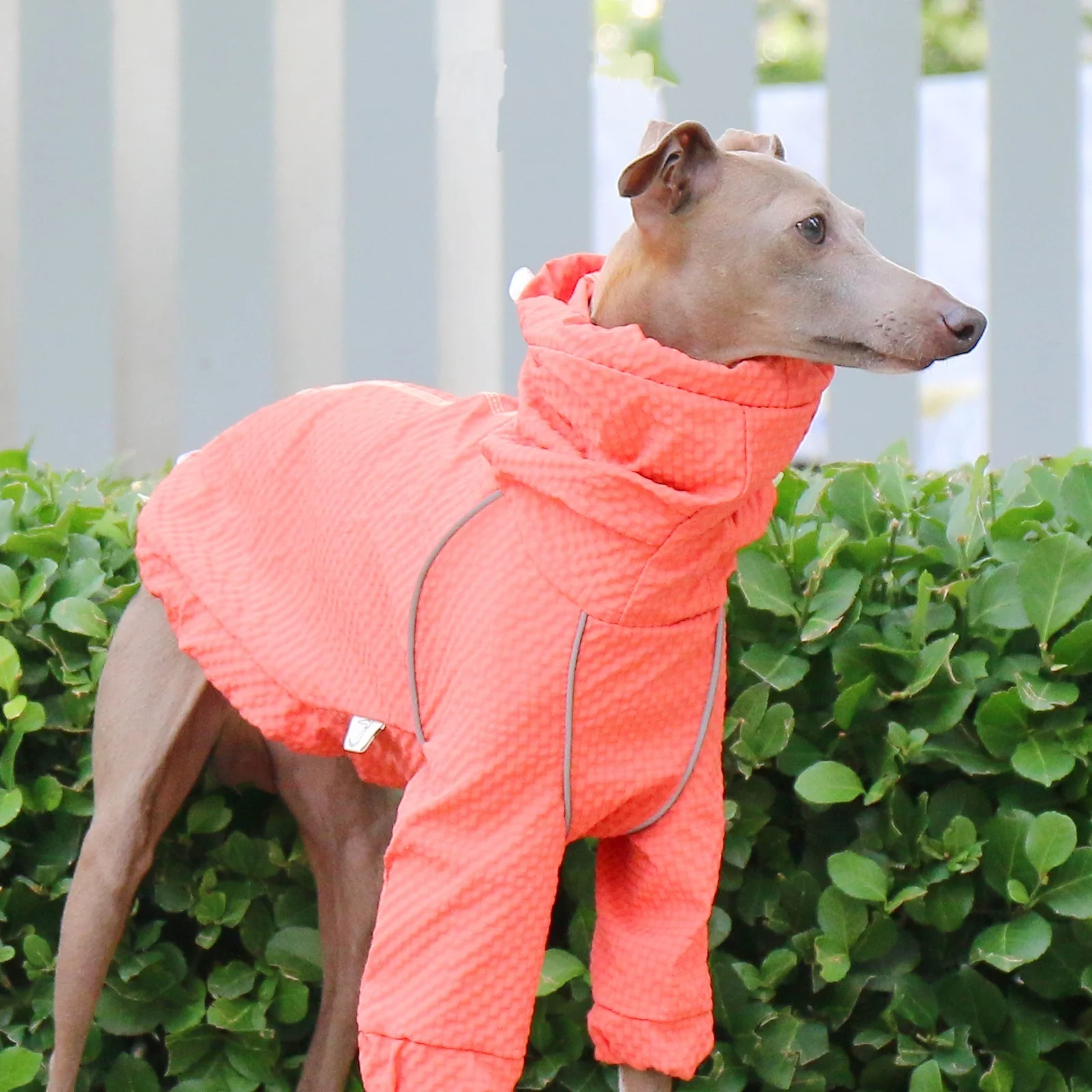 Traje negro de secado rápido para perros mediados, chaqueta transpirable, protector solar a prueba de lluvia, cuello alto, abrigo azul ajustable para galgo italiano - imagen 4