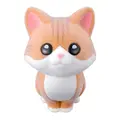 Brown Tabby Cat