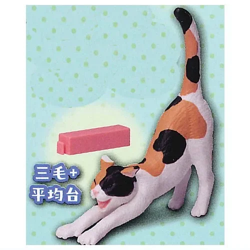 calico cat