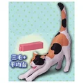 calico cat