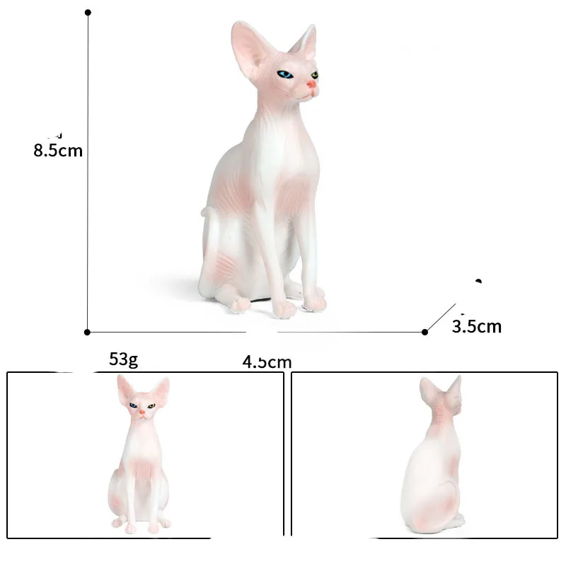 1562