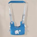 Blue bear