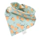 small orange blossom