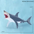 3Great white shark