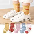 brand bear -5 pairs
