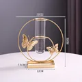 butterfly circularhe