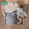 Gray Elephant